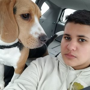 Meet your Posher, August